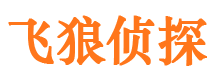 安宁市侦探调查公司